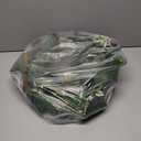 HD Designs24 Inc Magnolia Leaves/Berry Wreath