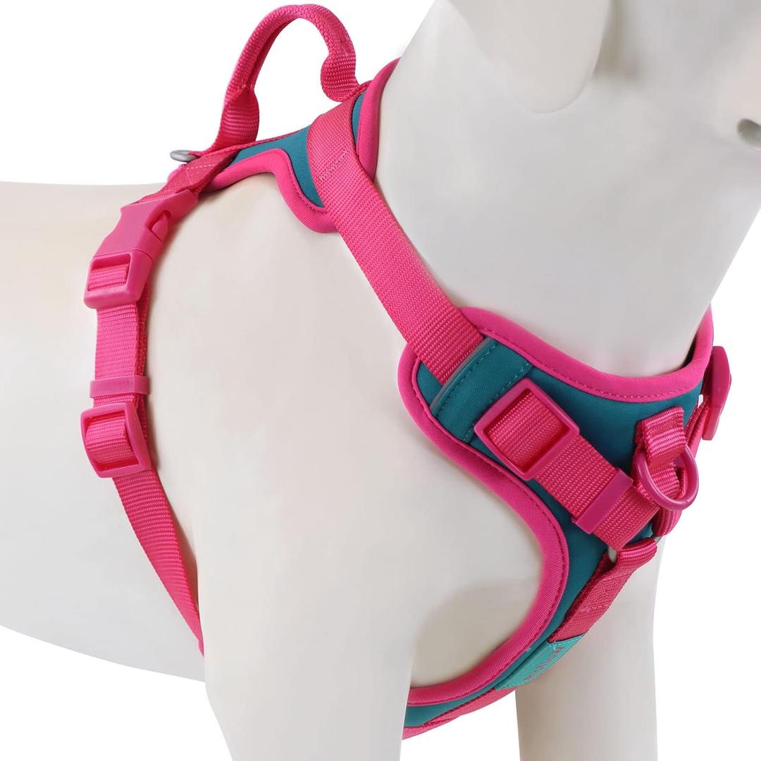 Wolfone No Pull Dog Harness Adjustable Soft Padded Pet Vest with Control Handle Adorable Daily Harness for Dogs Viridian Green XL Neck21-33, Chest25-38)