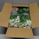 20 Bundles Artificial Fake Pansy Flowers for Outdoor - Yellow, White, Purple, Sunset red & deep pink Faux Pansies Flowers, Fake Flowers for Outdoor Planters, Porch, Garden, and Home Decoration