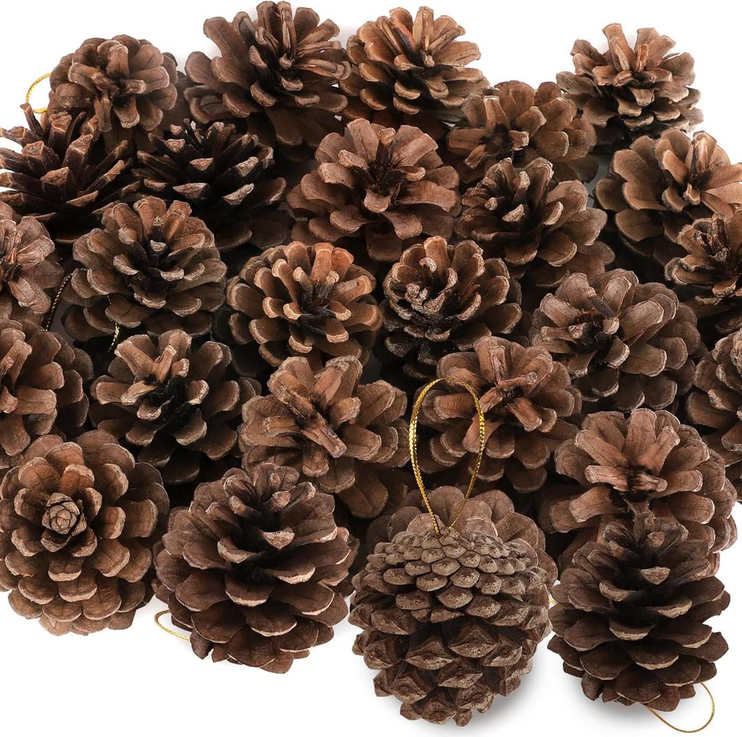 24 PCS Natural Pine Cones, 1.96 in Pinecone Ornaments, Rustic Pine Cones for Crafts, Winter Decorations for Home, Bulk Pines Cone with Gold String for Christmas Table Decor DIY Christmas Ornaments