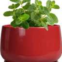 G EPGardening Ceramic Pots for Plants - 4 inch Succulent Pots Indoor Outdoor, Small Planter with Drainage Hole & Tray, Modern Flower Pot, Decorative Round Planter, Living Room Decor, Home Gifts, Red