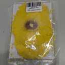 ALJ Large Size Golden Yellow Dried Sunflowers for Crafts Embellishment, Natural Real Pressed African Daisy for Resin DIY Jewellery Candle Making Phone Case Home Wedding Decor (3.14-3.54IN)