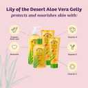 Lily Of The Desert Gelly Moisturizer - 99% Organic Aloe Vera Gel for Skin, After Sun Care with Aloe, Vitamin E Oil, and Vitamin C for Sunburn Relief, 8 Fl Oz (Pack of 2)
