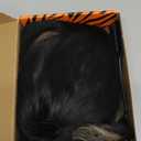 BrownBomb Black Blond Skunk Stripe Wear and Go Glueless Wigs Pre Plucked Pre Cut for Beginners Synthetic Lace Front Wigs With Bangs Long Straight layered Wigs Highlights 26 Inch 3 Seconds to Wear