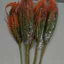 Grunyia 10 Bundles Artificial Fall Flowers for Outdoors Fake Plants UV Resistant Plastic Plants Shrubs Bushes for Home Fall Front Door Porch Garden Autumn Decor (Fall Red)