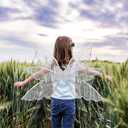 Lizxun Fairy Wings for Women Girls Butterfly Fairy Wings for Sparkle Princess Wings Halloween Cosplay Costumes Party Favor (One Size, Silver)