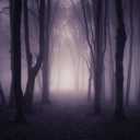 8X6FT Misty Spooky Forest Halloween Backdrop for Photography Mystery Scary Woods Cemetary Photo Backdrop Wizard Sorcerer Ghost Themed Party Banner Decors Photo Props F83