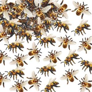 40 PCS Edible Bumble bee Cupcake Toppers Wafer Paper Bumble Party Drink Bee