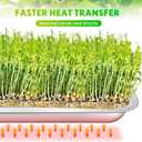 FillTouch 10 Pcs Stainless Steel Seed Starter Tray, Stainless Metal Garden Trays, Nursery Seedling Pots for Collection Transplantation & Propagation Flats, No Drain Holes(15.8 x 11.8 x 1.4 Inch)
