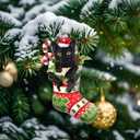 2 x Black Cat Christmas Ornament 2025, Cute Ornaments for Christmas Tree, Funny Christmas Ornaments, Personalized Christmas for Cat Lovers Gift (Socks-cat-1)