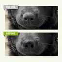 Dog Paw Balm for Cats & Puppy, Soothing Paw and Nose Balm, Cracked Paw Pad Relief, 60g /2 oz