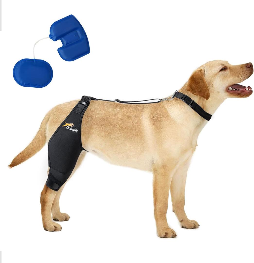Dog Knee Brace for Torn ACL, Airbag Design for Joint Pain Relief, Ligament Injuries, Osteoarthritis, Rear Leg Limp, etc(Right Leg,L)