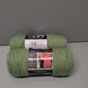 2 x RED HEART Super Saver Yarn, Frosty Green