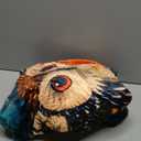 Vibrant Owl Blanket | Soft Warm Fuzzy Lightweight Flannel Colorful Owl Throw Perfect for Couch, Bed, Decor, Travel & Outdoor Use, Cozy Blankets for Adults Kids Women Boys Girls 6050 in