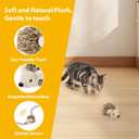 Gigwi Interactive Moving Cat Toy, Automatic Squeaky Cat Toy Hedgehog Design for Indoor Self Play, Upgraded 500mAh USB Rechargeable Electronic Pet Chase Toy for Exercise
