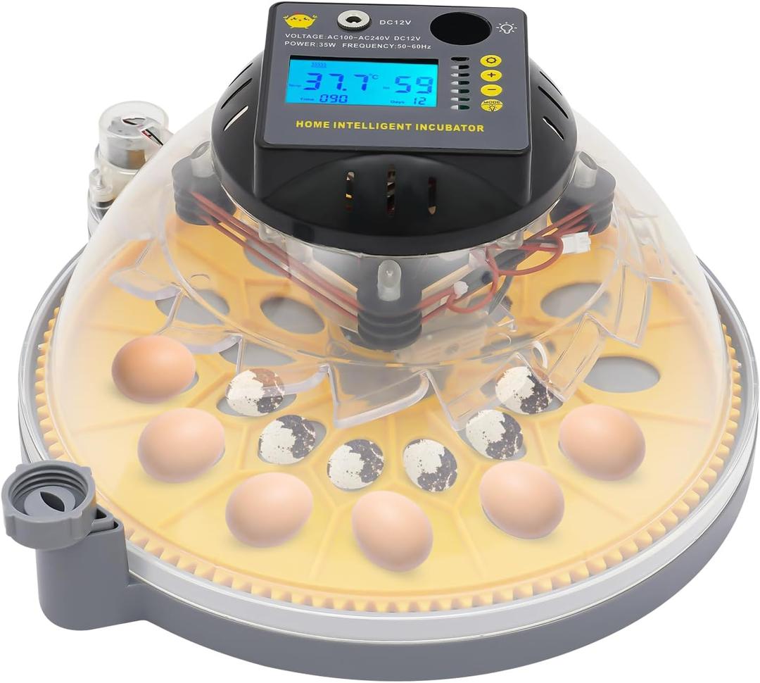 24 Egg Incubator for Hatching Chicks, Poultry Egg Incubator with LCD Screen, Parrot Eggs Brooder with 360 Degree Clear View for Hatching Parrot, Goose, Duck and Bird Eggs