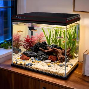 Coospider 10 Gallon Glass Fish Tank, Aquarium Starter Kit, Simple Self-Cleaning Aquarium with 3-Color LED Lights, Quiet Filter Pump, Temperature Monitoring for Fish, Shrimp, Kids Gift Ideas