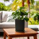 Deep Dream 10 Inch Ceramic Pots for Plants, Heavy Plant Pot for Indoor Outdoor Plants, Large Plant Pot with Drainage Hole and Saucer, Modern Tall Flower Pot, Gifts for Plant Lovers, Black