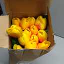 Lyrow 30 Pcs Tulips Artificial Bouquet Flowers Faux Tulips for Home Kitchen Wedding Decorations,Gift Idea for Easter Decor Mother's Day Birthdays(Gold Yellow)