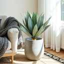 Artificial Agave Plant,23in Faux Plants Outdoor Decor,UV Resistant Large Potted Greenery,Realistic Plastic Succulents Perfect for Front Porch, Patio, Indoor Outdoor Home, Office Decor