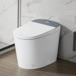 Casta Diva Smart Toilet, Auto Open/Close, ADA Compliant, Heated Seat, Dual Flush, Concealed Tank, 1000 Gram MaP | CD-U010