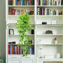 LOYWREE 3 Pack Small Artificial Hanging Plants with Faux Ivy Vine and Hanging Pothos 39Inch Fake Plant Realistic Greenery for Shelf Decor in Home, Office, Indoor & Outdoor Gardens