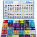 Riseuvo 316 Pcs Car Fuses Kit - Blade Replacement Assortment Fuses for RV, Camper, Boat, Truck, Motorcycle (2A 3A 5A 7.5A 10A 15A 20A 25A 30A 35A 40A) - Standard & Mini & Low Profile Mini Fuse