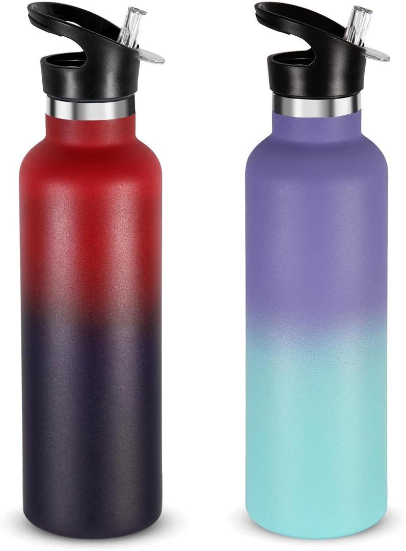 Neihepal 24oz Insulated Water Bottles Bulk 2 Pack,Stainless Steel Double Wall Sport Bottle with Straw Lid,Metal Reusable Thermoses Cup with Hand Cap for School, Cyclists, Hikers, Gift (Assorted, Set of 2)