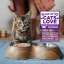 Wellness Healthy Indulgence Shreds Adult Wet Cat Food, Natural, Protein Rich, Grain Free, Tuna and Shrimp Recipe, 3 oz, Pack of 24 Pouches (EXP 06/01/26)