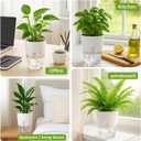 Planterhoma 8 Pack Self Watering Pots for Indoor Plants, 6 Inch Plant Pot Plastic Self Watering Planter for Orchid, African Violet, Small Clear Flower Pots with Drainage Holes and Wicking Rope, White