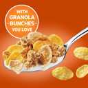 Honey Bunches of Oats Crunchy Honey Roasted Cereal 18 Ounce (Pack of 1) Box (EXP 05/09/26)
