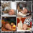 Halloween Terracotta Color Plastic Skull 5.9 Inch Life Size Human Skeleton Head Model for Halloween Indoor Outdoor Decor Party Centerpiece