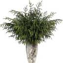 Real Touch Norfolk Pine Branch - 36" Artificial Christmas Green Plants Branches Faux Greenery Stem Fake Pine Picks for DIY Crafts Garland Wreath Xmas Indoor Outdoor Home Decor (8 Pcs)