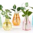 Mkono Propagation Vases for Plants, Set of 5 Small Glass Jar Planters for Hydroponic Cutting Flowers, Plant Station Bud Vases for Centerpieces Home Office Decor Gift, Colorful (Plants not Included)