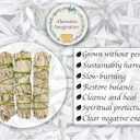 6 Pack of White Sage Sticks - 4" Long Smudging Incense Sticks for Sage Smudge Kit Refill, Witchcraft Supplies, Meditation Accessories, Yoga, Incense Holder, Spiritual Gifts - Alternative Imagination