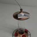 Eega Coppe Gass Hummigbid Feede