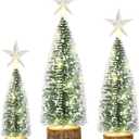 3Pcs Mini Christmas Tree for Table Decor Little Xmas Tree with LED Light for Table Centerpieces Tiny Bottle Brush Tree with White Snow for Home Indoor Tabletop Christmas Decoration