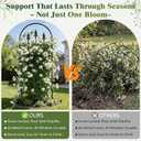 2 Pack 47" H x17 W Garden Trellis for Climbing Plants Outdoor - Metal Rustproof Arched Rose Trellis for Outdoor Indoor Roses Potted Vines Cucumbers Clematis Flowers Decorative, Black