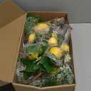 Ovveroche Artificial Lemon Branches 8 Heads per Stem 4 Pack Faux Lemons with Leaves Kitchen Table Centerpiece Decor Fake Lemon Tree for Vases Farmhouse Party Summer Home Yellow Decorations