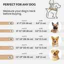 CollarDirect Reflective Rolled Leather Dog Collar, Soft Padded Round Puppy Collar, Handmade Genuine Leather Collar Dog Small Large Cat Collars 13 Colors (11-14 Inch, Beige Smooth)