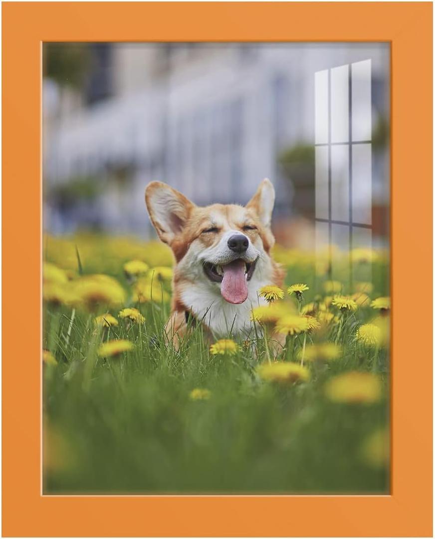Renditions Gallery 8x10 inch Picture Frame High-end Modern Style, Made of Solid Wood and High Definition Glass Ready for Wall and Tabletop Photo Display, Orange Frame