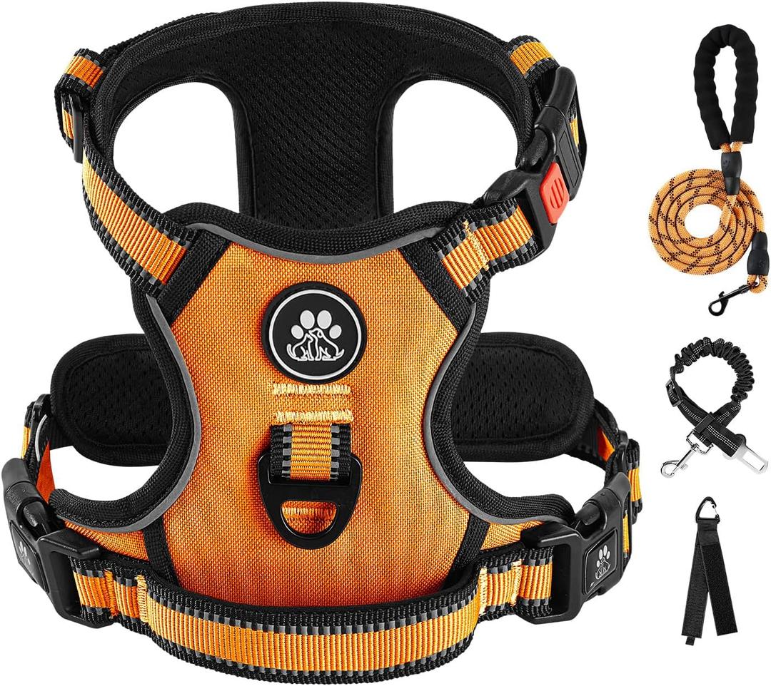 IVY&LANE No Pull Dog Harness for Small Dogs, Vest Harness with Leash, Safety Belt and Storage Strap, Fully Adjustable, 360 Reflective Strip, Soft Handle (Orange, S)