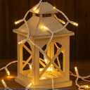 Novelty Lights 7 Feet 20 LED String Light, Warm White on White Wire, 4" Spacing Short Fairy Lights, Connectable End-to-End, UL Listed for Indoor/Outdoor