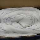 Sealy Cool Cotton Moisture-Wicking 100% Cotton Mattress Pad Queen