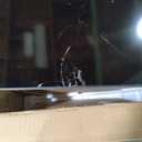 Roku Smart TV 2025  43-Inch Select Series, 4K HDR TV  RokuTV with Enhanced Voice Remote  Flat Screen LED Television with Wi-Fi for Streaming Live Local News, Sports, Family Entertainment