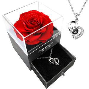 VANGOLD Gifts for Mom,Most Popular Valentine's Day Gifts,Gifts for Girlfriend I Love You Necklace in 100 Languages Gifts for Girlfrien