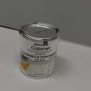 Rust-Oleum 372007 Transformations Basics Cabinet & Trim Paint, Quart, Pure White, 32 Fl Oz (Pack of 1)