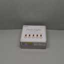 Brite Star 25 Count Frosted Clear G40 Light Set