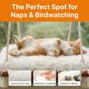 Cat Hammock with Industrial-Grade Suction Cups - Solid Pine Wood Seat, Soft Cushion - 42 lb Capacity