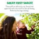 Little Bellies Organic Apple & Cinnamon Puffs Baby Snack (Pack of 18 x 0.42 oz Individual Packs) (EXP 10/29/25)